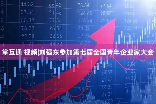 掌互通 视频|刘强东参加第七届全国青年企业家大会