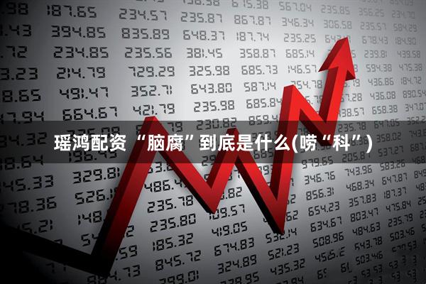 瑶鸿配资 “脑腐”到底是什么(唠“科”)