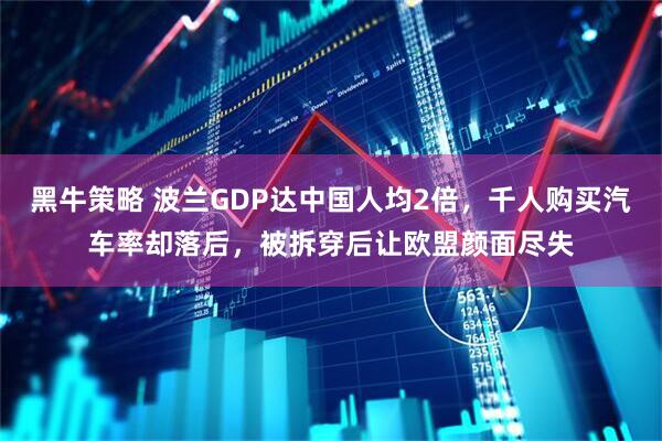 黑牛策略 波兰GDP达中国人均2倍,千人购买汽车率却落后,被拆穿后让欧盟颜面尽失
