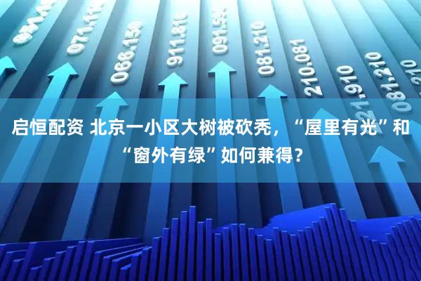 启恒配资 北京一小区大树被砍秃,“屋里有光”和“窗外有绿”如何兼得?